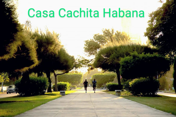Casa Cachita Habana- Apartamento a 50 m del mar