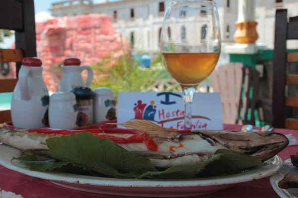 Hostal La familia Elias