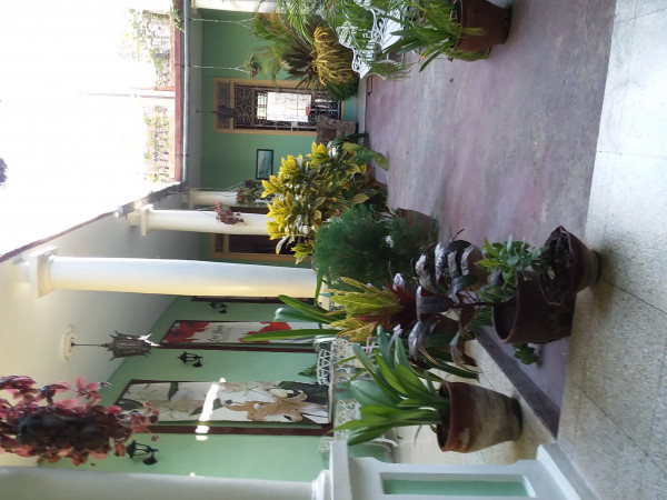 Hostal Los Lirios en Santa Clara